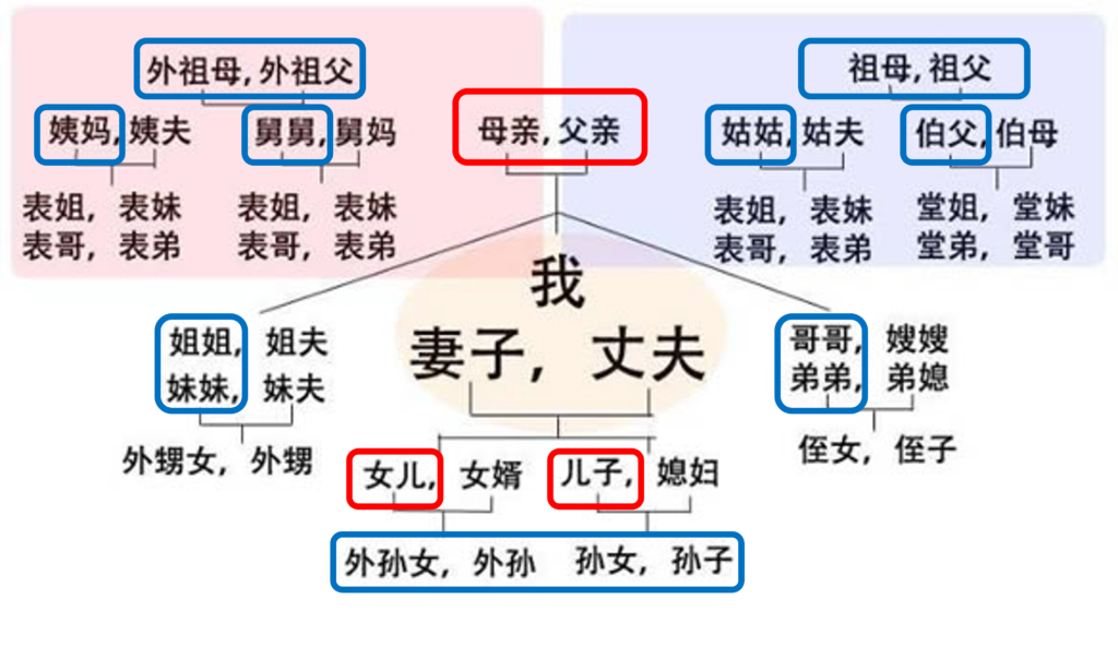 亲属关系